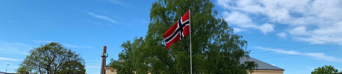 Norges flagg på sagene skole