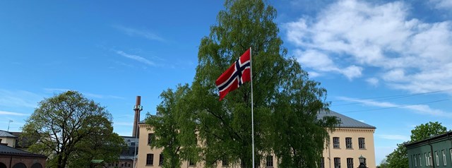 Norges flagg på sagene skole