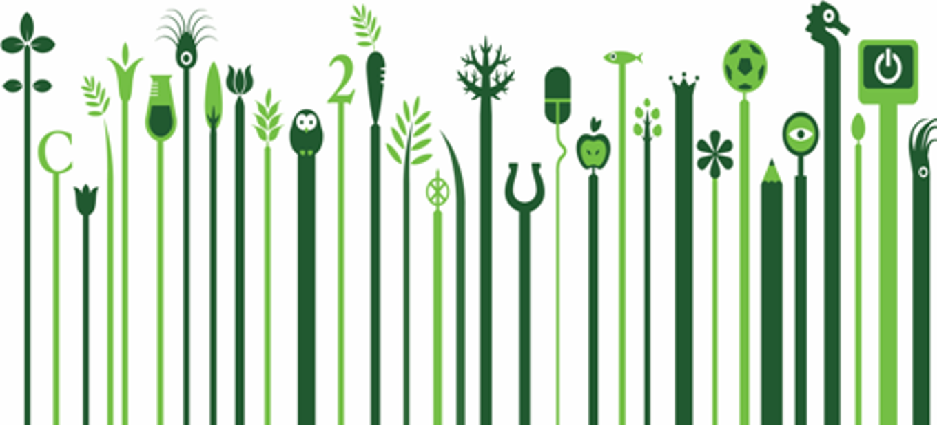 En leken skog med læring i ulike former og uttrykk.