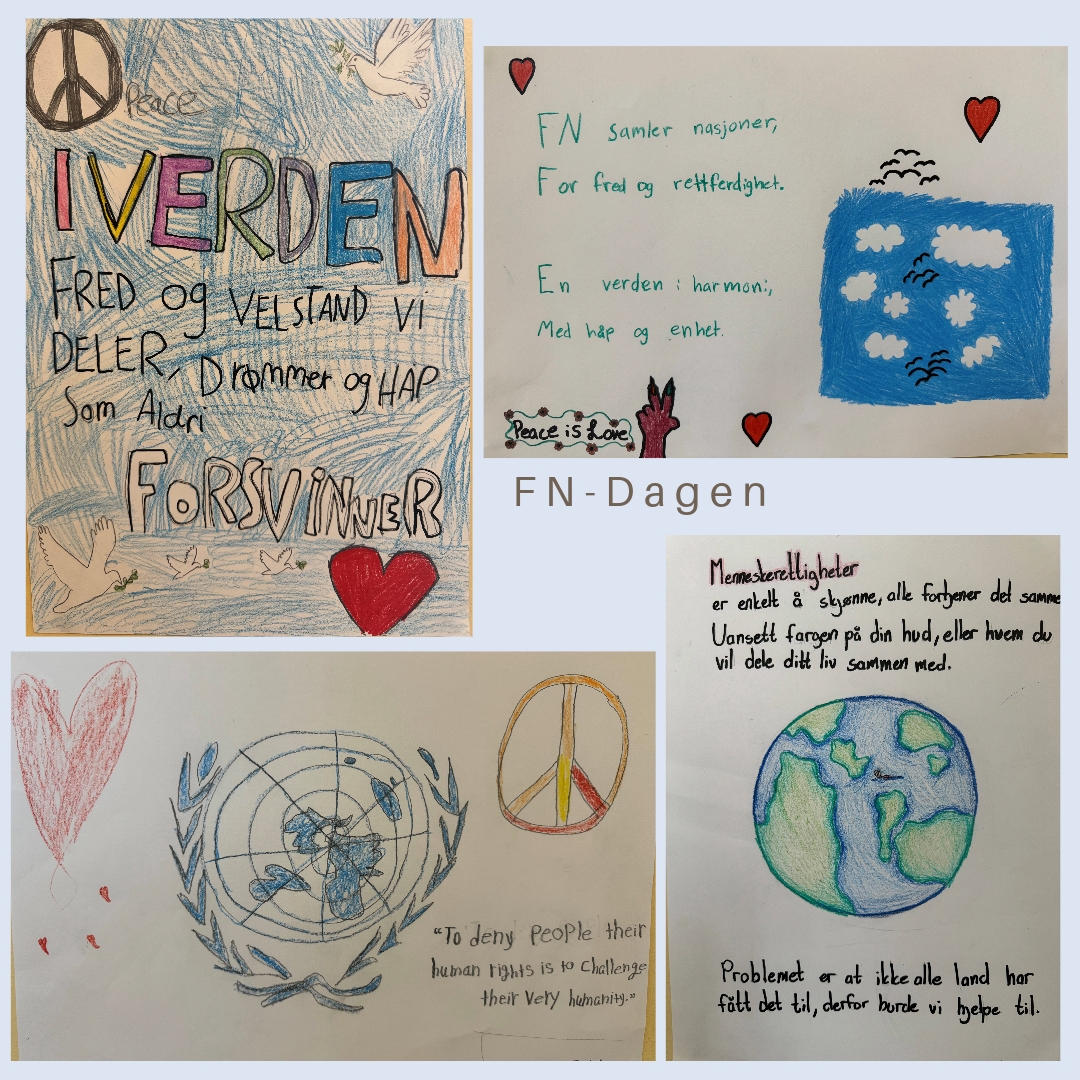 Collage FN dagen